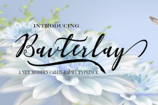 Bavterlay: A Designer's Take on a Real Script Amp