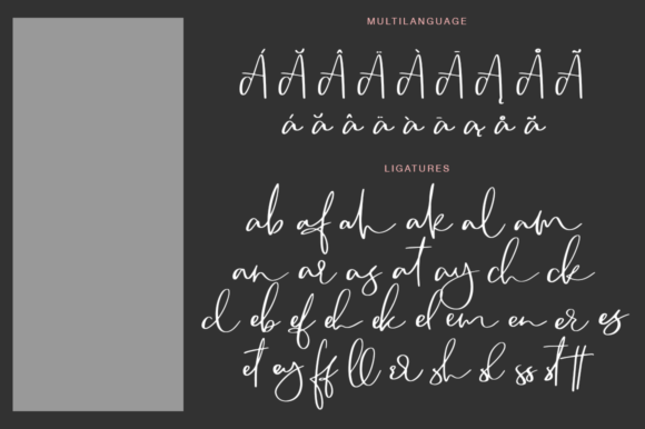 Camsay: A Handmade Calligraphy Font Built for Editorial Storytelling