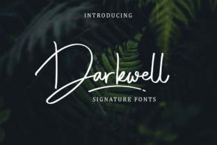 Darkwell Family: A Designer’s Honest Review for Real Projects