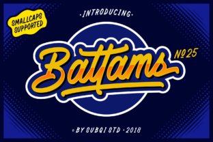 How Battams Script Font Gave My Business a Consistent Look