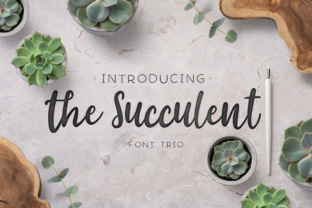 The Succulent Trio: A Font for Handmade Labels and Branding